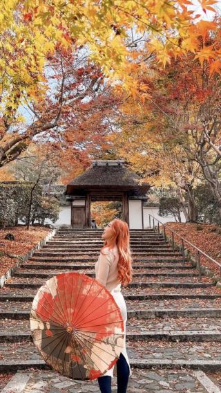BEST time to go to Japan in NOV.🍁