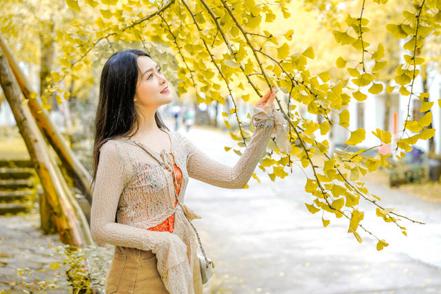 廣東最美秋天！一片金黃的韶關帽子峰美慘了