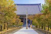 宿坊京都擁有千年歷史智積院寺廟