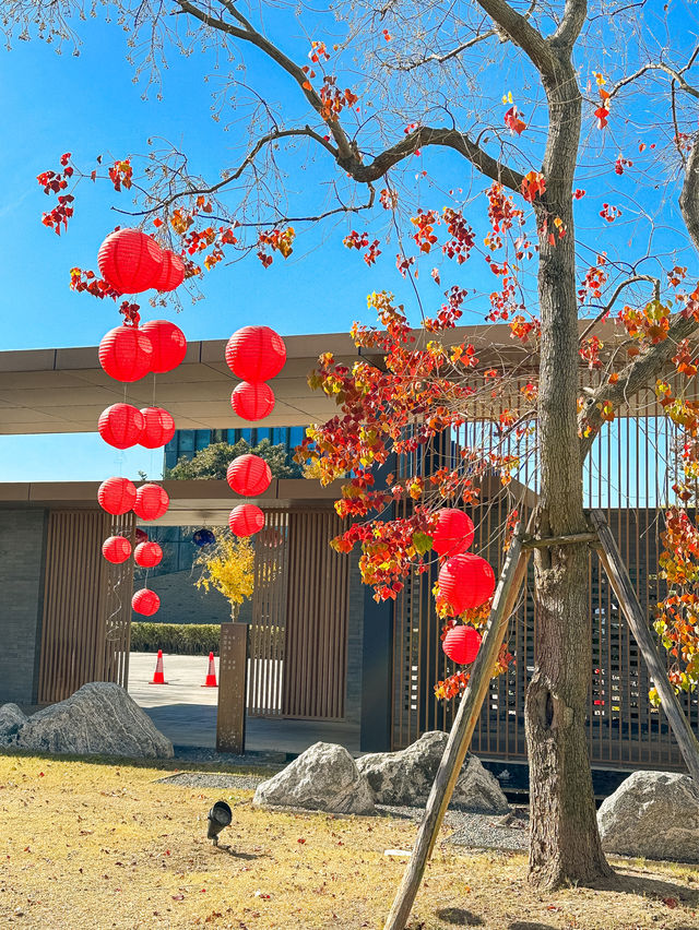 蘇州住宿｜寵物友好♨️溫泉酒店