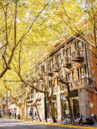 人生建議:12月逛完這些小馬路再離開上海!