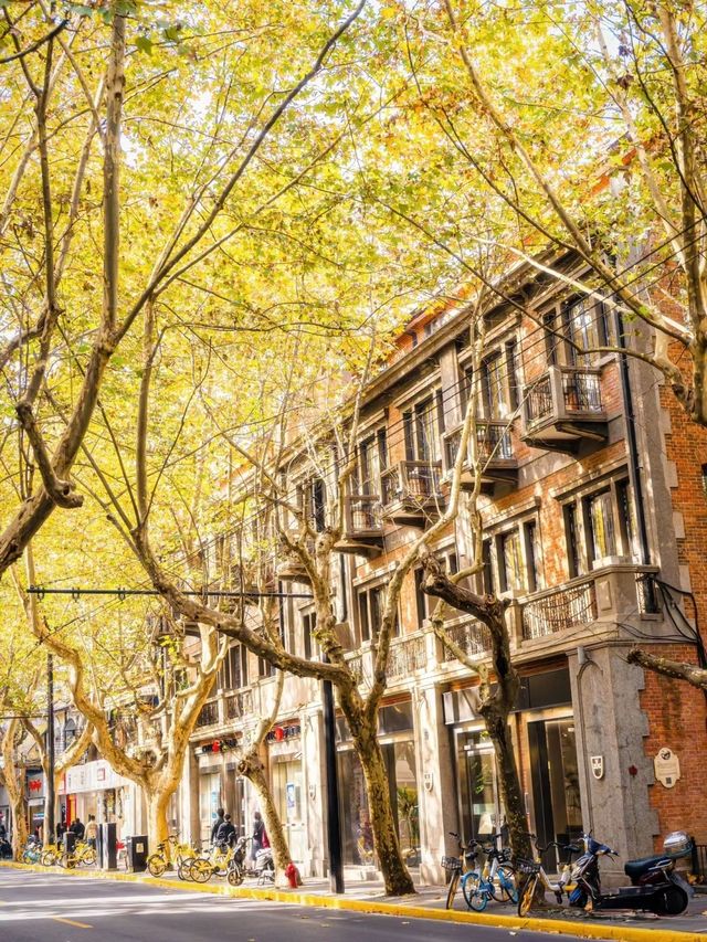 人生建議:12月逛完這些小馬路再離開上海! 人生建議:12月逛完這些小馬路再離開上海!