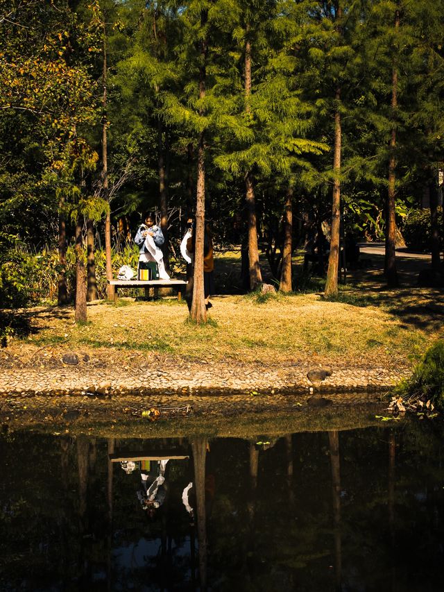 福州閩江公園南園賞秋正當時