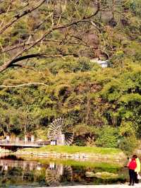 【多彩貴州·花溪公園】“十里河灘”最靚處