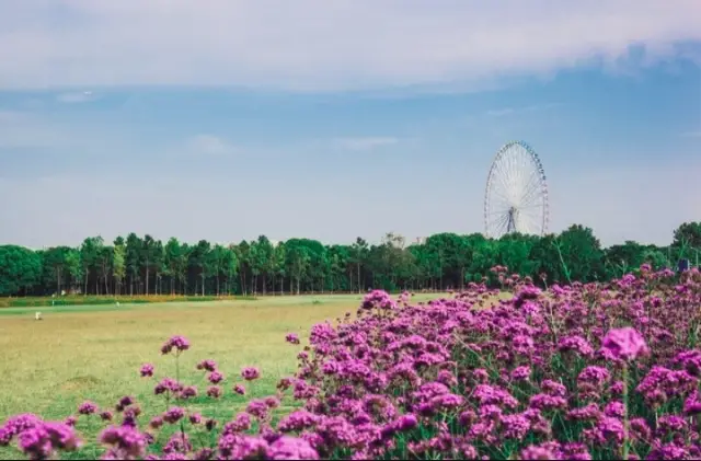 Tour of Shanghai Chenshan Botanical Garden: Experience the charm of nature and the fun of science