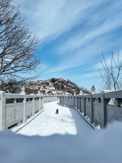 Snow-snow-snow, the snowy scenery of the sea cloud platform mountain is as beautiful as a painting