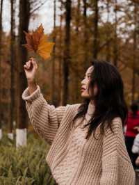 重慶的春夏秋冬都在這個公園裡，也太美了