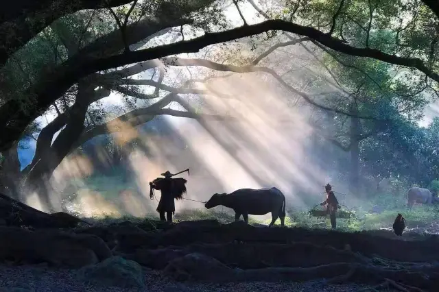 The real-life version of the Emerald City in Xiapu is here!!