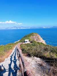 香港| 沒來長洲島可就虧大了