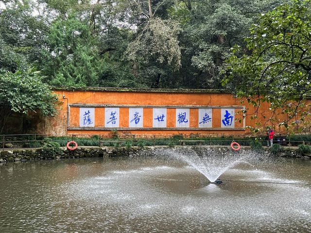 在稻子黃柿子紅的時節去國清寺啦
