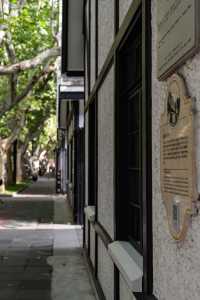 Citywalk第二彈|樹蔭下的新華路