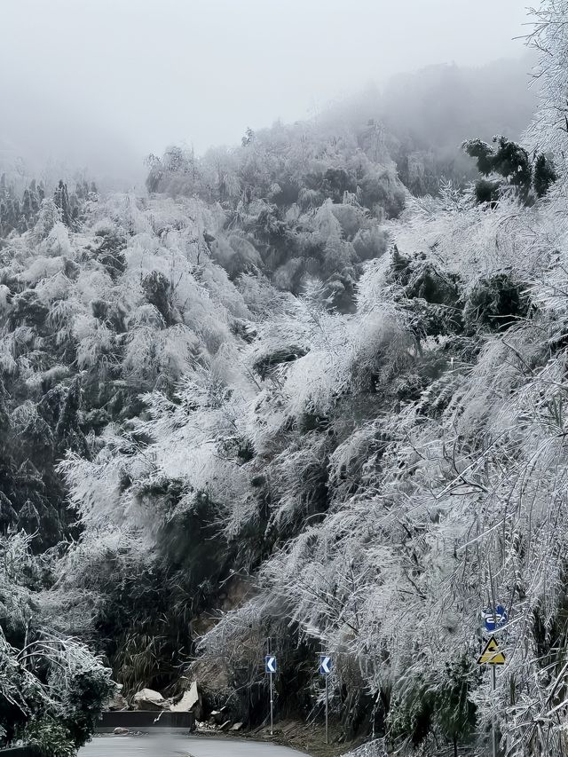 清遠·金子山｜廣東絕美冰掛