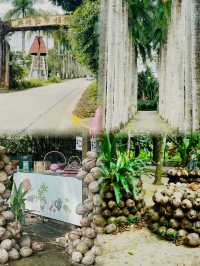 興隆 熱帶植物園和巴厘村｜熱帶雨林和南洋風情