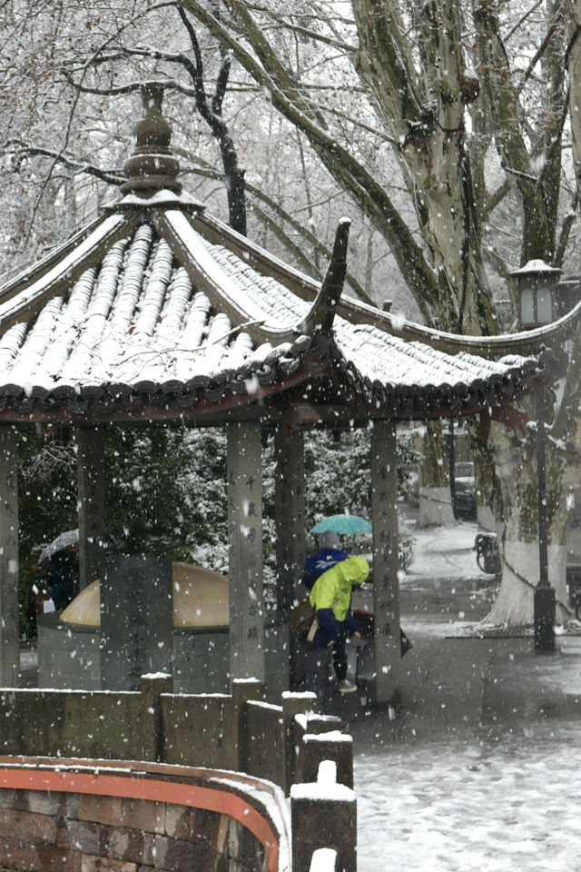 屬於西湖的浪漫童話，杭州下大雪啦