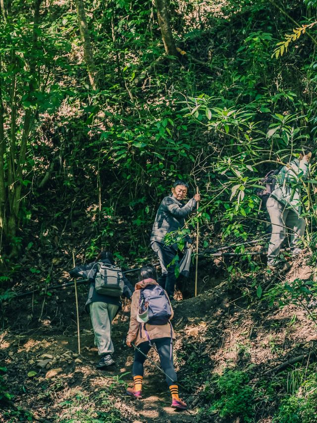 錯峰出行·2月來騰衝你得這樣玩