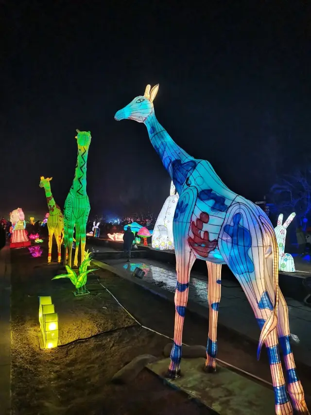 北京順義國際鮮花港花燈節遛娃攻略