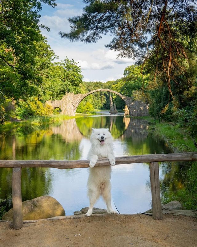 🌉😍 The most beautiful bridge in Germany is waiting to be discovered! 🇩🇪✨