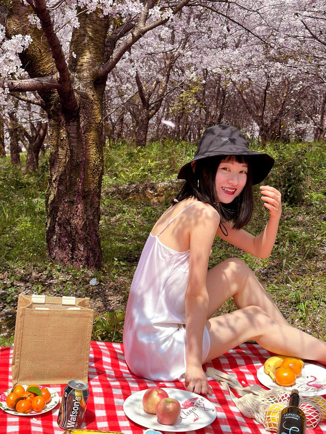 找到了🌸現實版東方青蒼的七情樹開花了