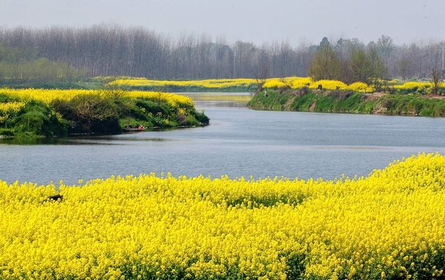 春風送暖兩河口