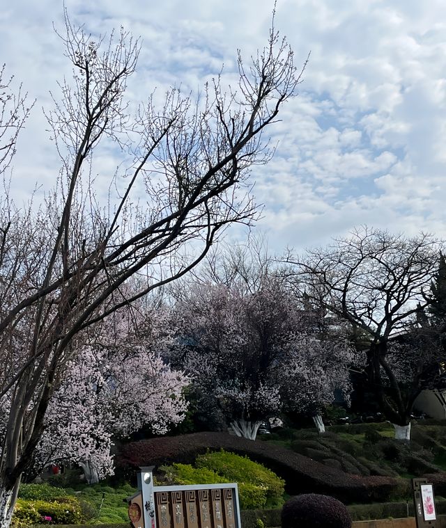 探索曲靖 | 登臨寥廓山，領略靖寧寶塔風采