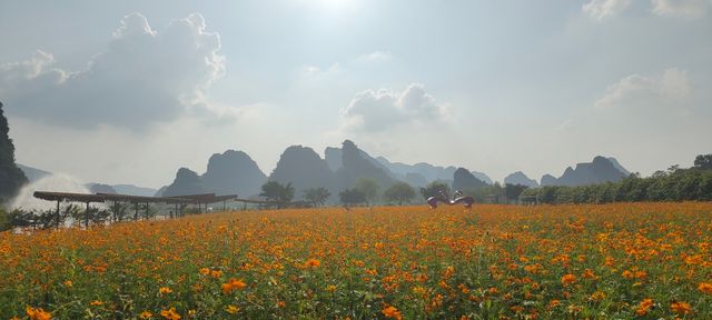 峰林曉鎮，美到窒息！