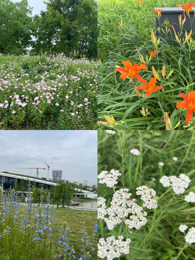 休閒好去處——上海桃浦中央綠地