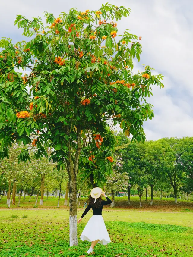 Spring Camping Diary in Guangzhou