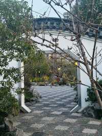很受歡迎的小眾花園| 真如公園