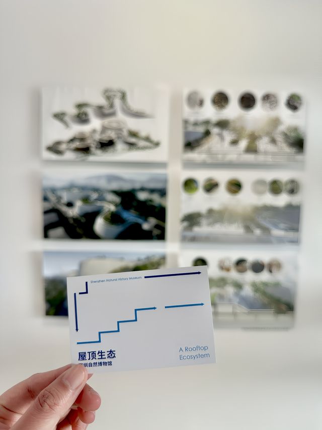 深圳看展探尋城市建築的創新魅力