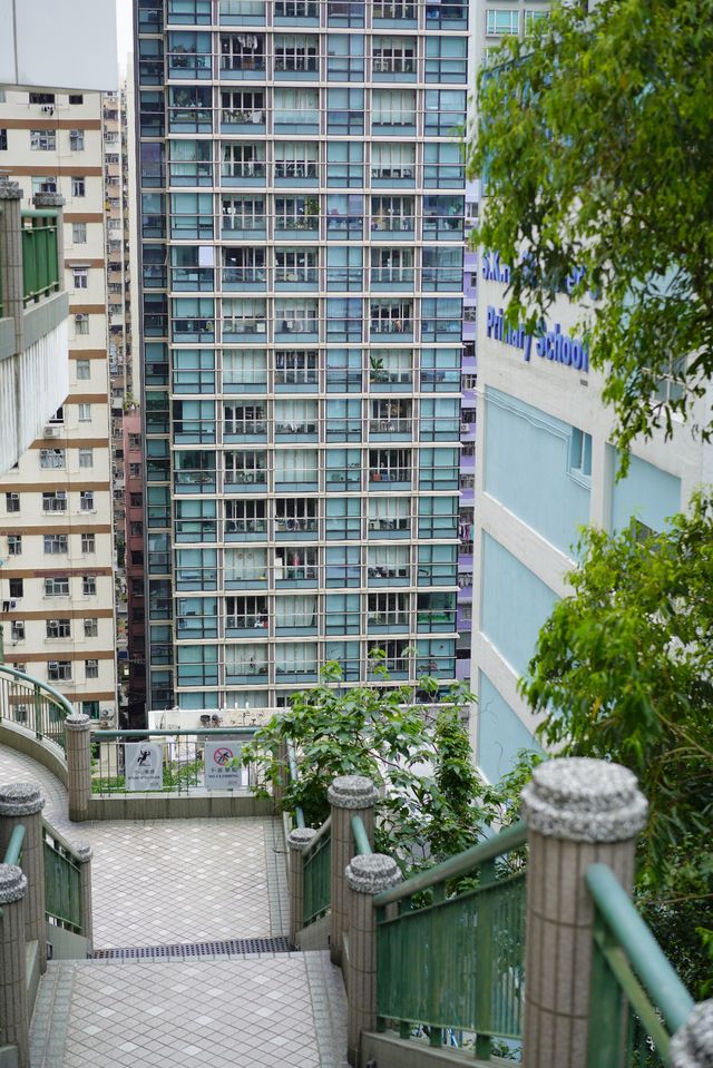 香港pk重慶 魔幻複雜主義街道