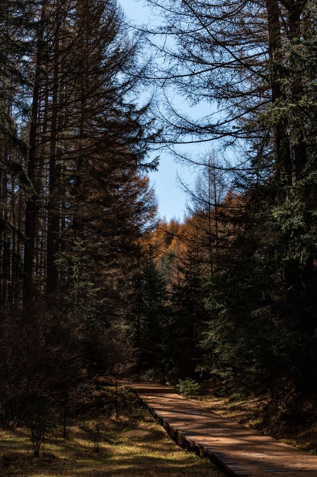 寧武芦芽山：峰巒疊翠，畫屏綿延