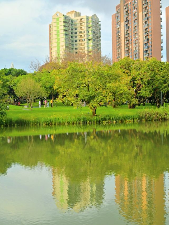 在雨後的四海公園，邂逅湖邊的浪漫