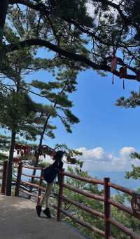 遠赴人間驚鴻宴，登高眺群峰，見自己