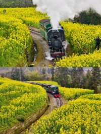 2024嘉陽小火車+油菜花！現在去正是時候|||​主題