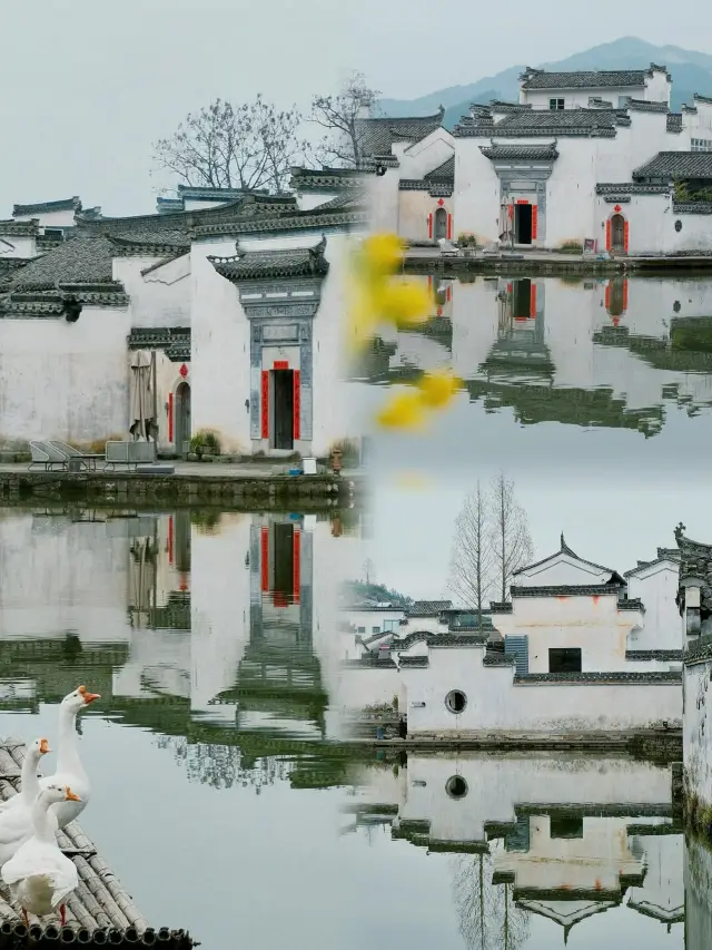 Chengkan | The mountain scenery is mysteriously veiled in rain, which is also quite extraordinary🪻