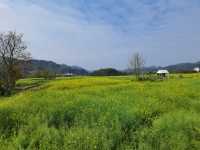 依依古村 千年仁里