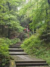 斗岩風景區…春天的氣息