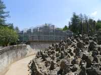 貴州第一動物王國——貴陽森林野生動物園