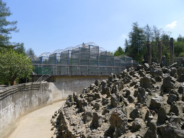 貴州第一動物王國——貴陽森林野生動物園