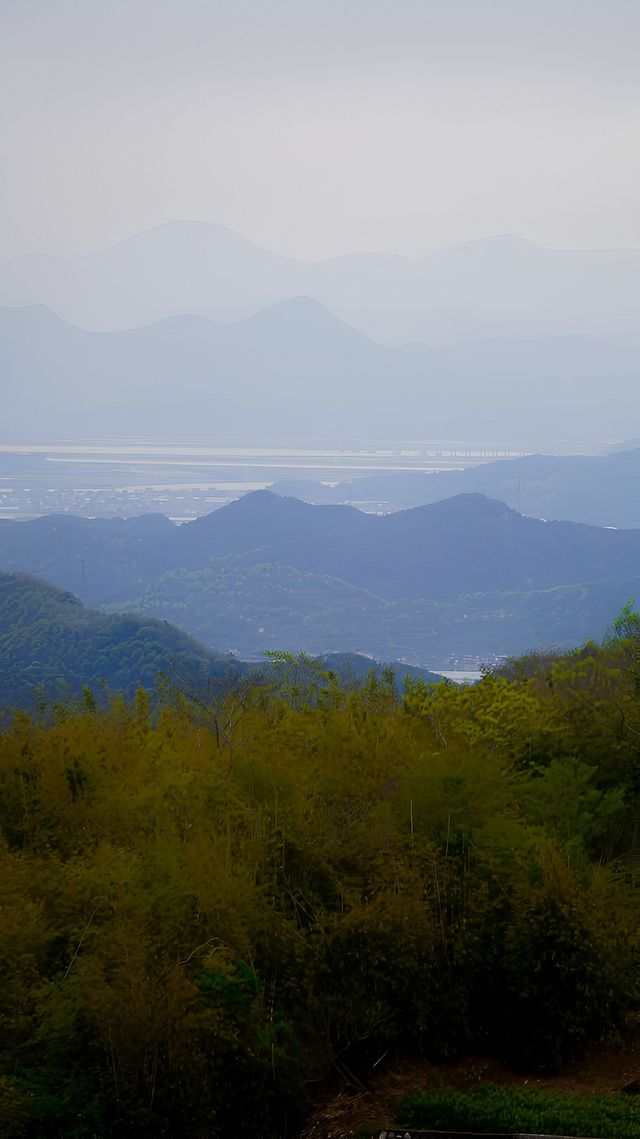 江浙滄小眾徒步踏青：終點是能看到大海的茶園，石浦鎮大金山