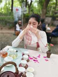 聽勸，五一快來佘山天馬山園免費喝茶