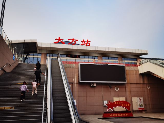 貴州百里杜鵑-大方縣一日遊