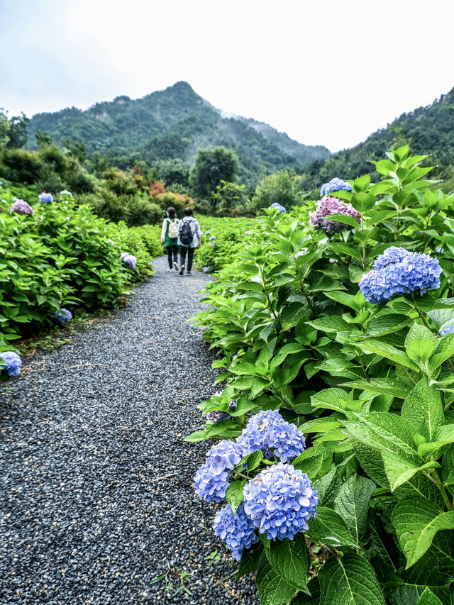 煙台旅遊｜夏日昆嵛山石門里徒步好去處