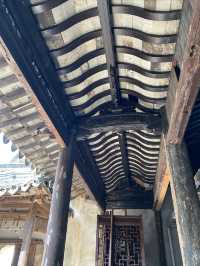 東山散步奇遇記（上）