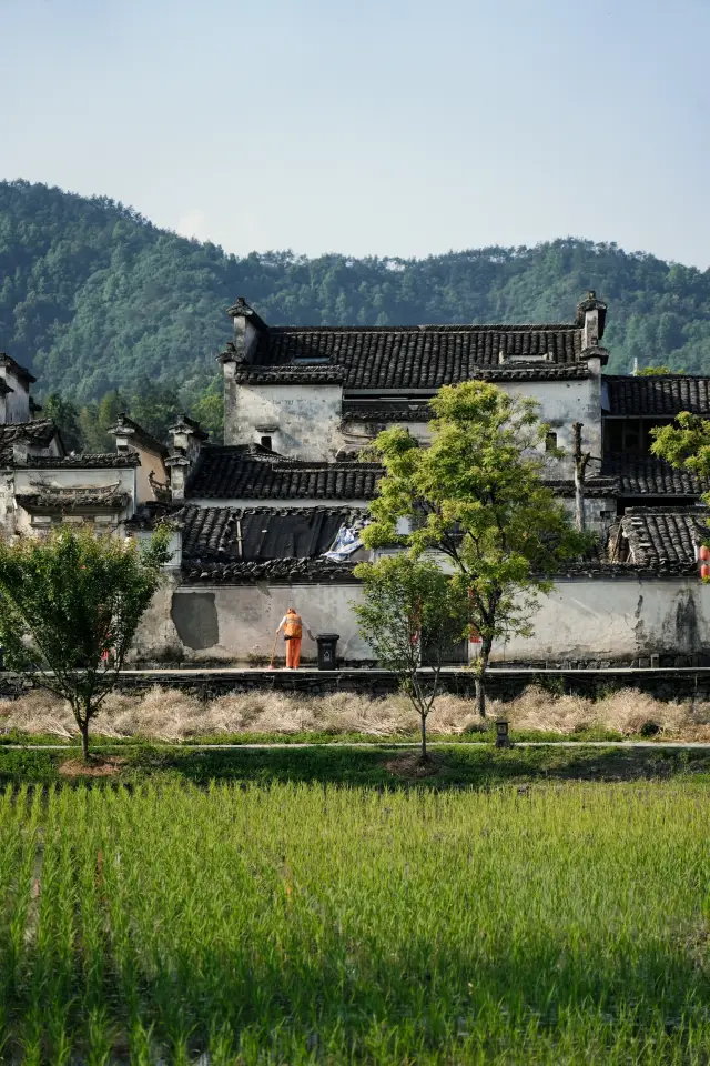 Xidi | Why is the most photogenic place in Southern Anhui not recommended by anyone
