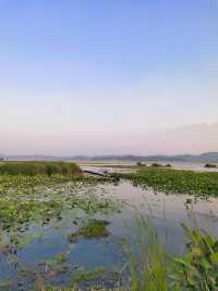 石屏異龍湖