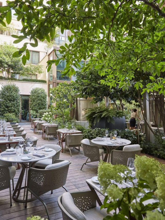 🍂✨ Parisian Elegance & Autumnal Bliss at Mandarin Oriental 🌟