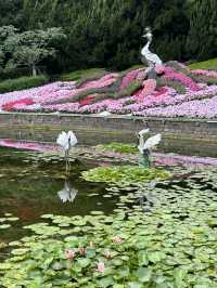 漫遊上海：中山公園，百年公園新變化