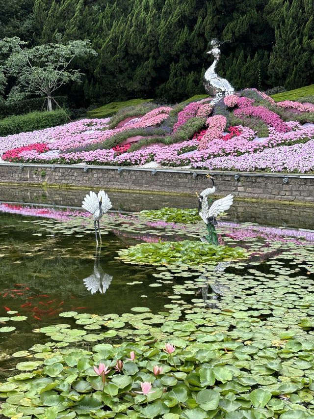 漫遊上海：中山公園，百年公園新變化