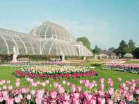 London Garden Great Obsession